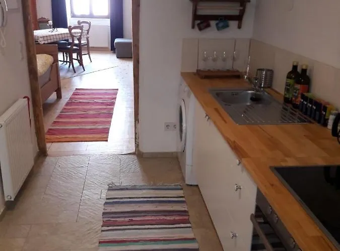 Blick Aufs Goldene Dachl * 因斯布鲁克